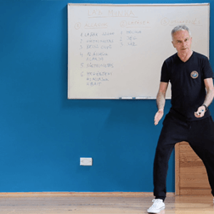 Yang Family Tai Chi Elmélet - Videó tanfolyam