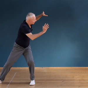 Gyógyító Chi Kung - Oktatóvideó Csomag