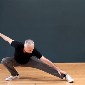 Öt Állat Chi Kung - Oktató videók