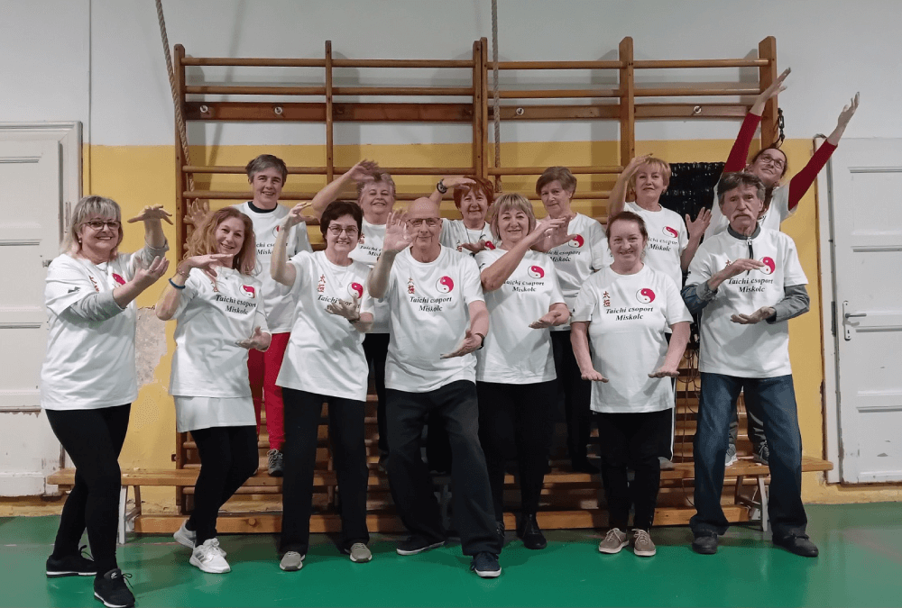 chi-kung-tai-chi-csoport-miskolc-11 (1)