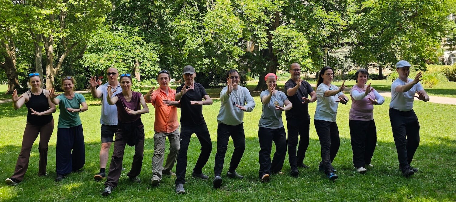 yang-tai-chi-het-oamsin
