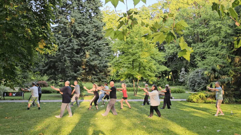 tai-chi-tabor (1)